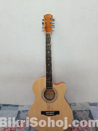 Acoustic Guitar TGM